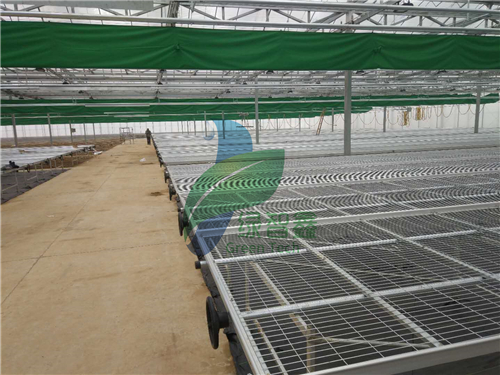 活動苗床產品特性與溫度調節(jié)指南